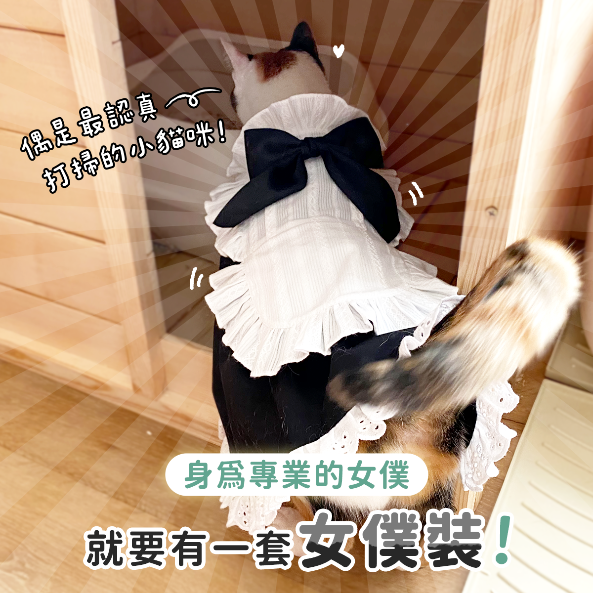工作區域 2