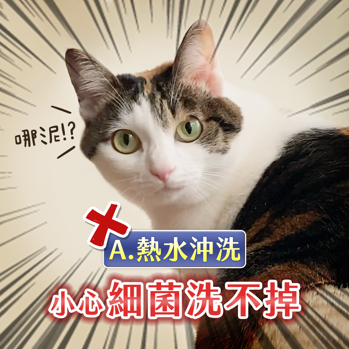工作區域 2