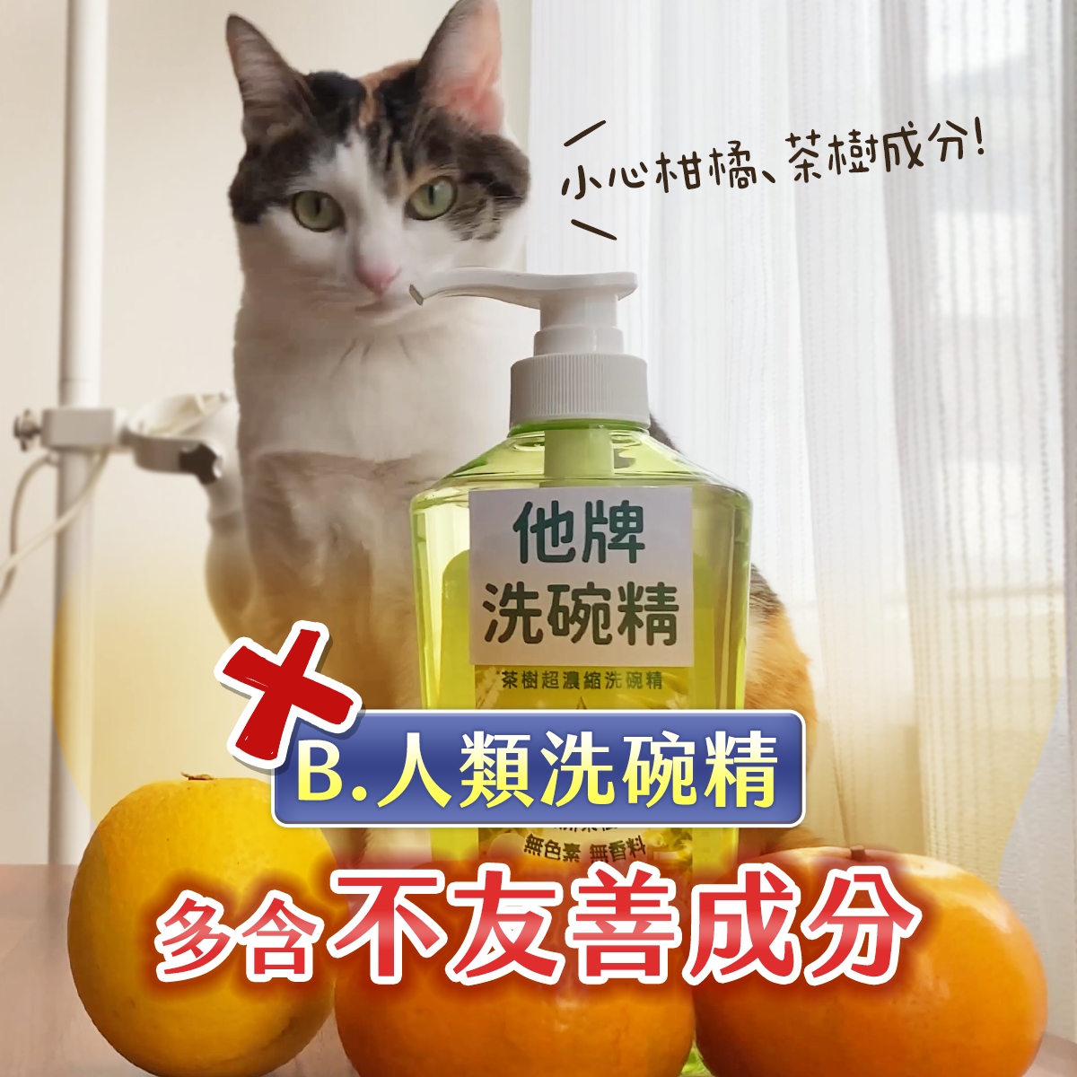 工作區域 3