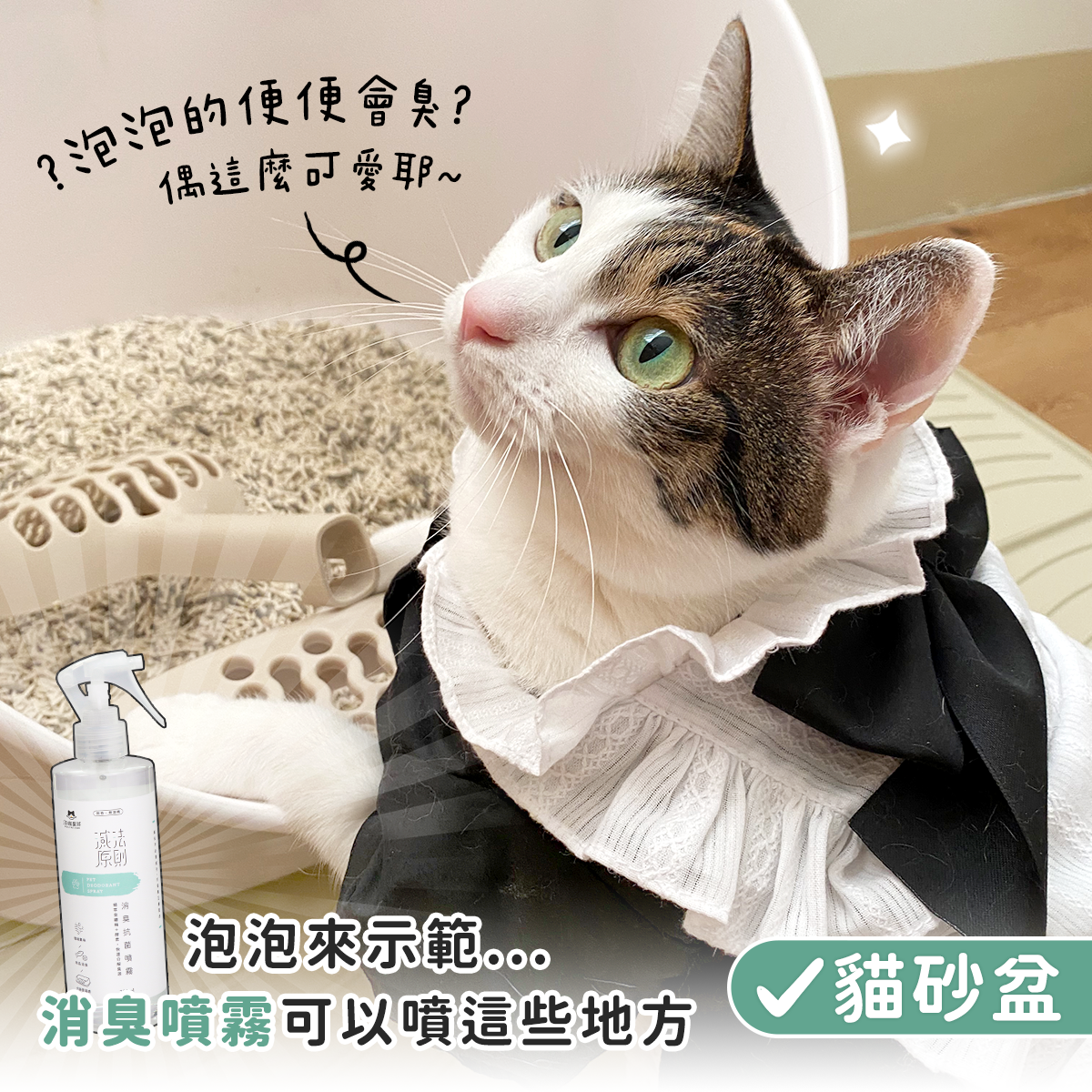 工作區域 4