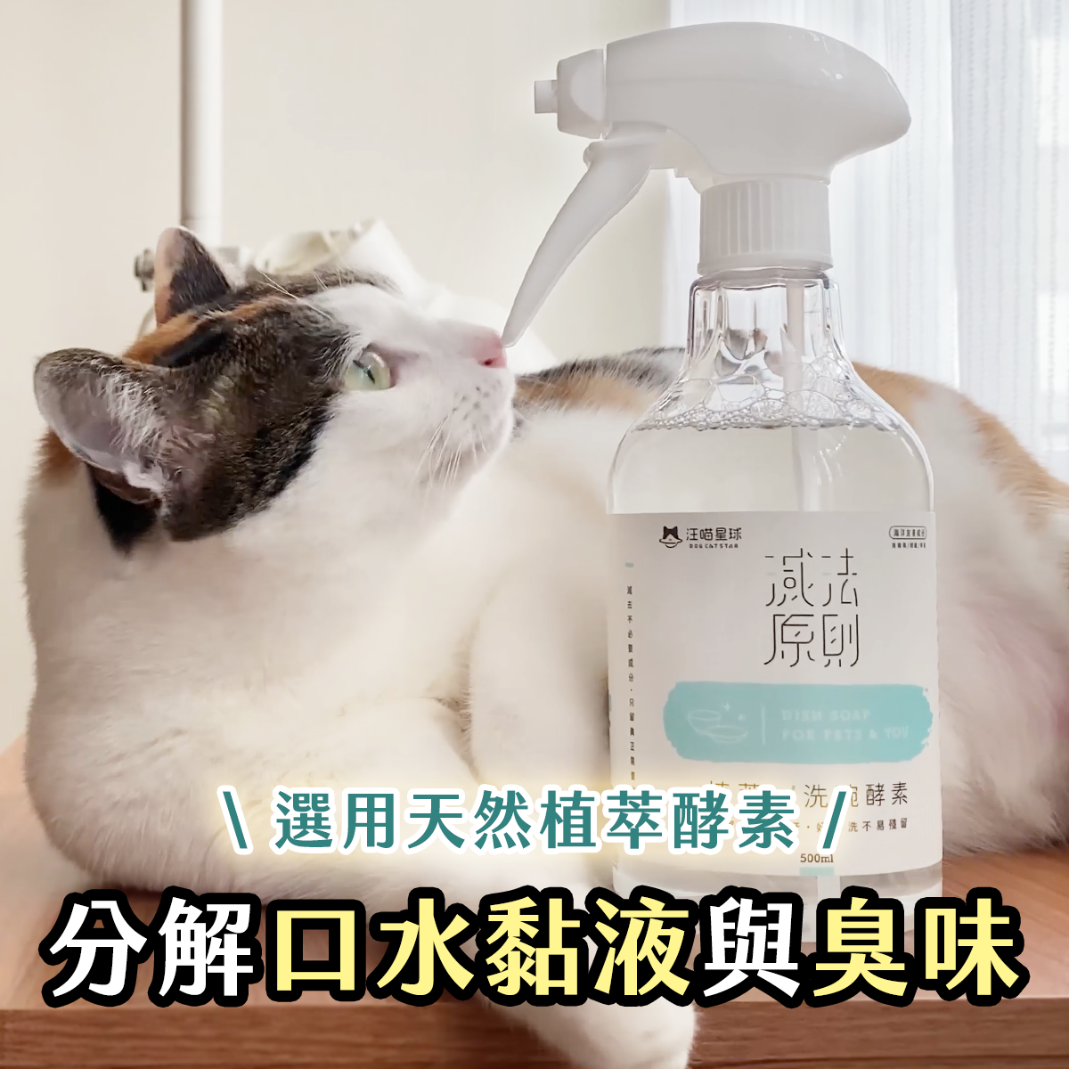 工作區域 5