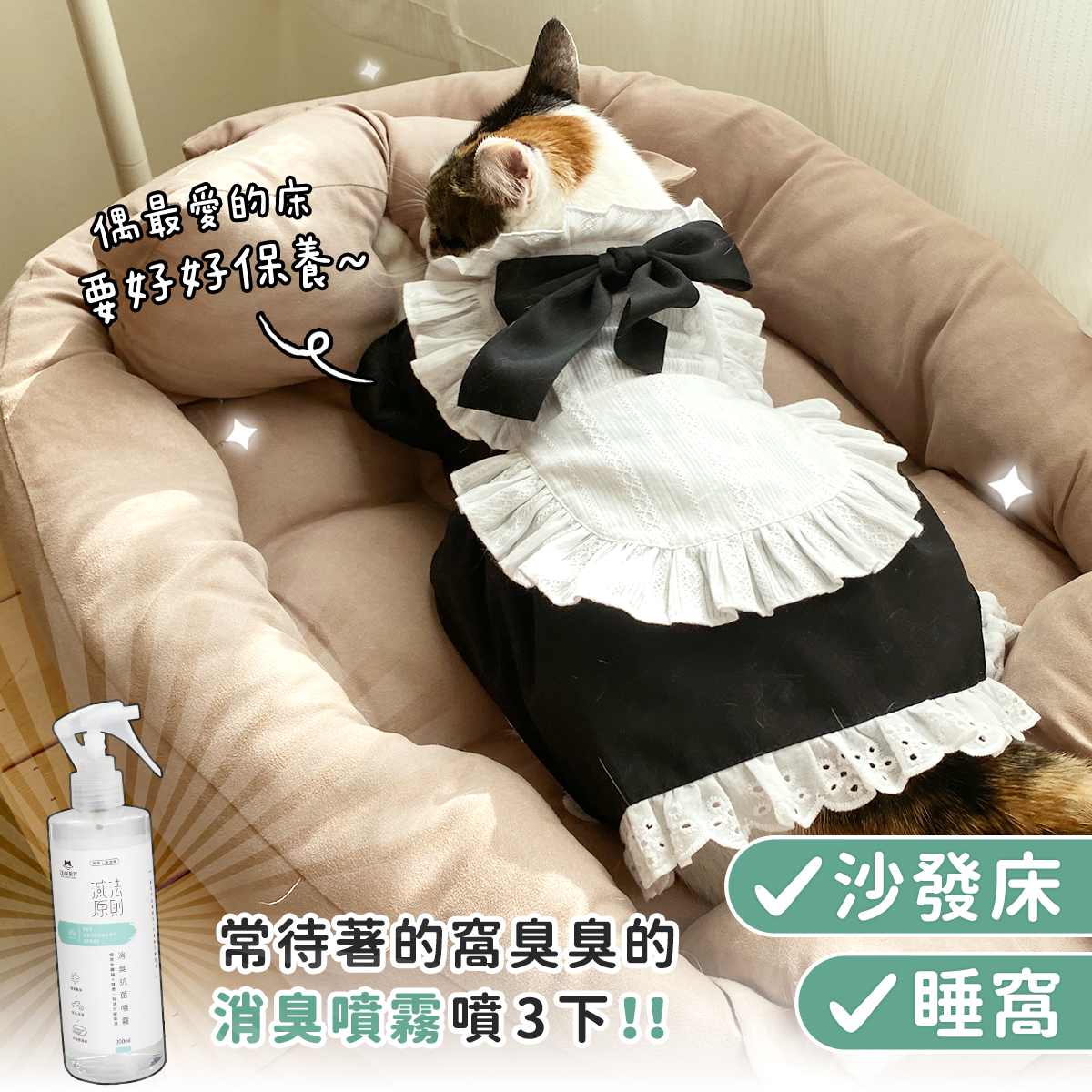 工作區域 5
