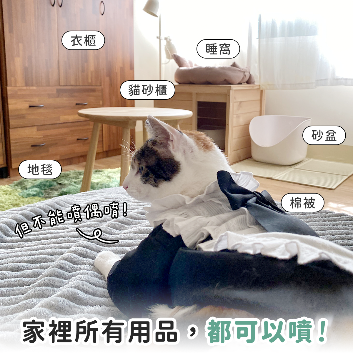 工作區域 7